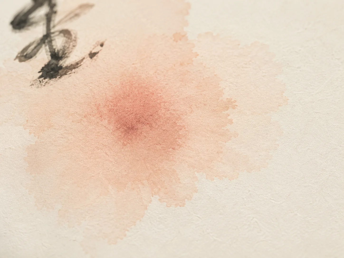 What Is Tokyo Lip Blush? The Japanese-Inspired Semi-Permanent Lip Technique